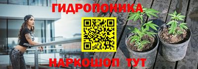 spice Балашиха
