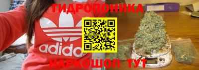 spice Балашиха