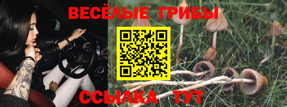 Галлюциногенные грибы ЛСД  Вход с VPN  Баксан 